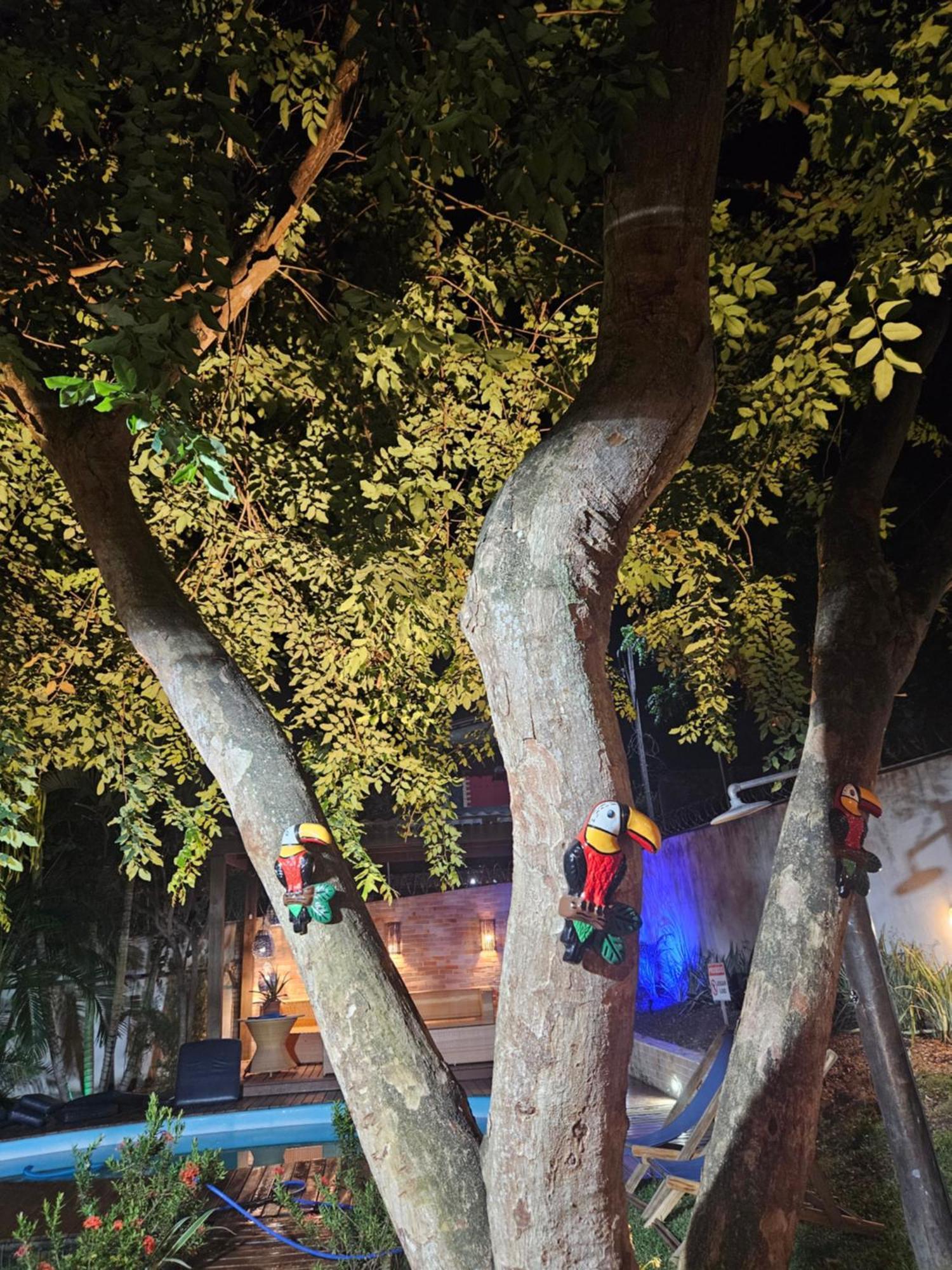 Casa Dos Tucanos Pipa